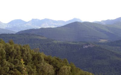 L’économie circulaire ? Mais qu’est-ce que c’est ?