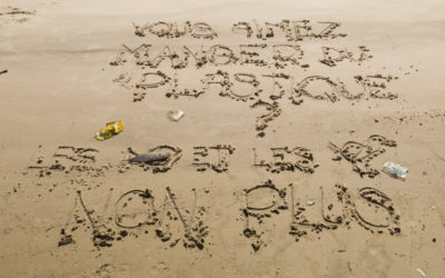 Les aventures de Déclic Écologique au Sénégal • # 1 • Escale à Toubab Dialow