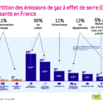 2023 Medical Repartition Ges Shift Project
